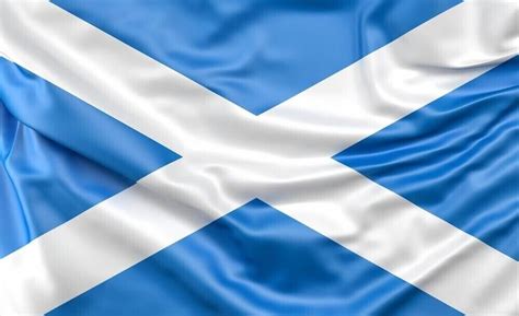 referendum odds|Scottish Independence Referendum Betting Odds .